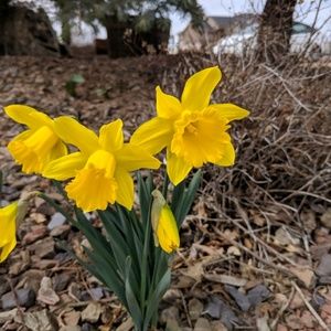 Meet your Posher, Sheryl